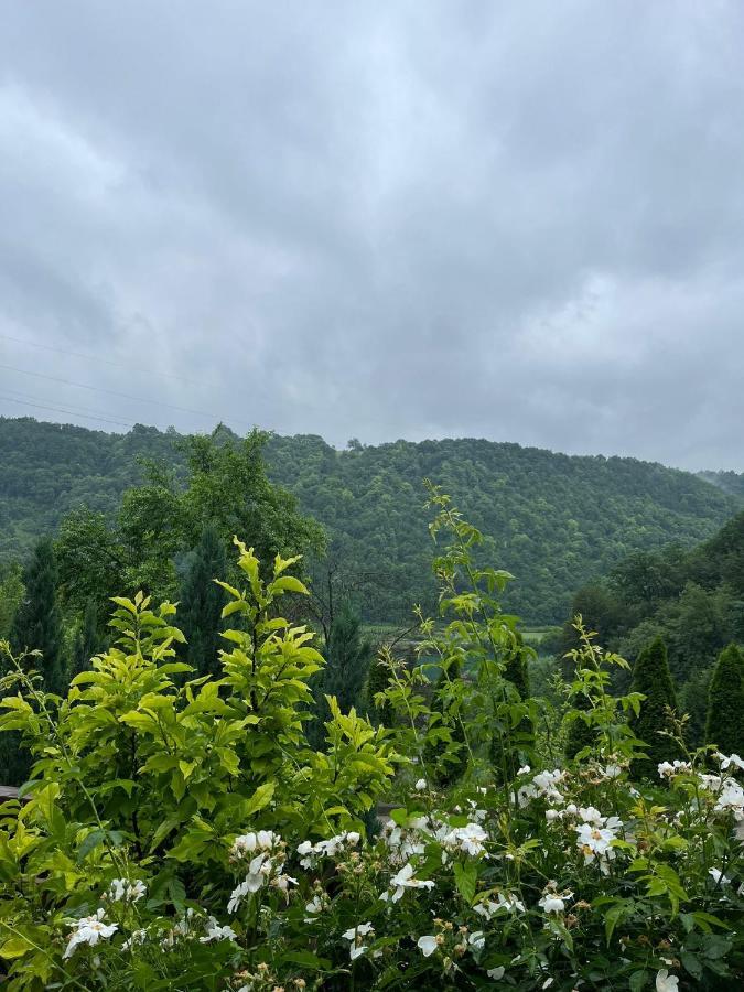 Villa Nature Bihać Exteriér fotografie