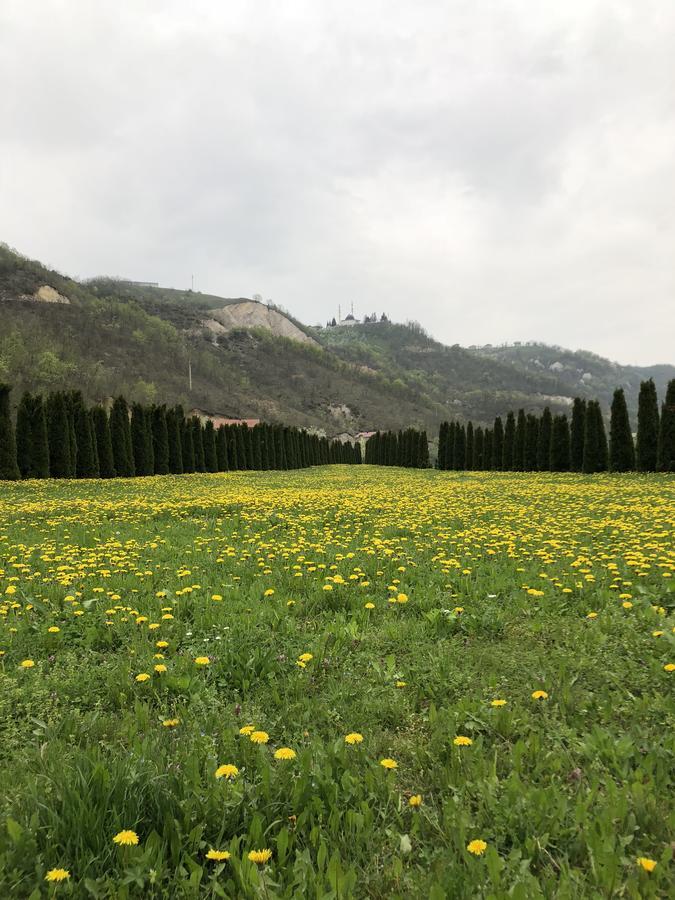 Villa Nature Bihać Exteriér fotografie